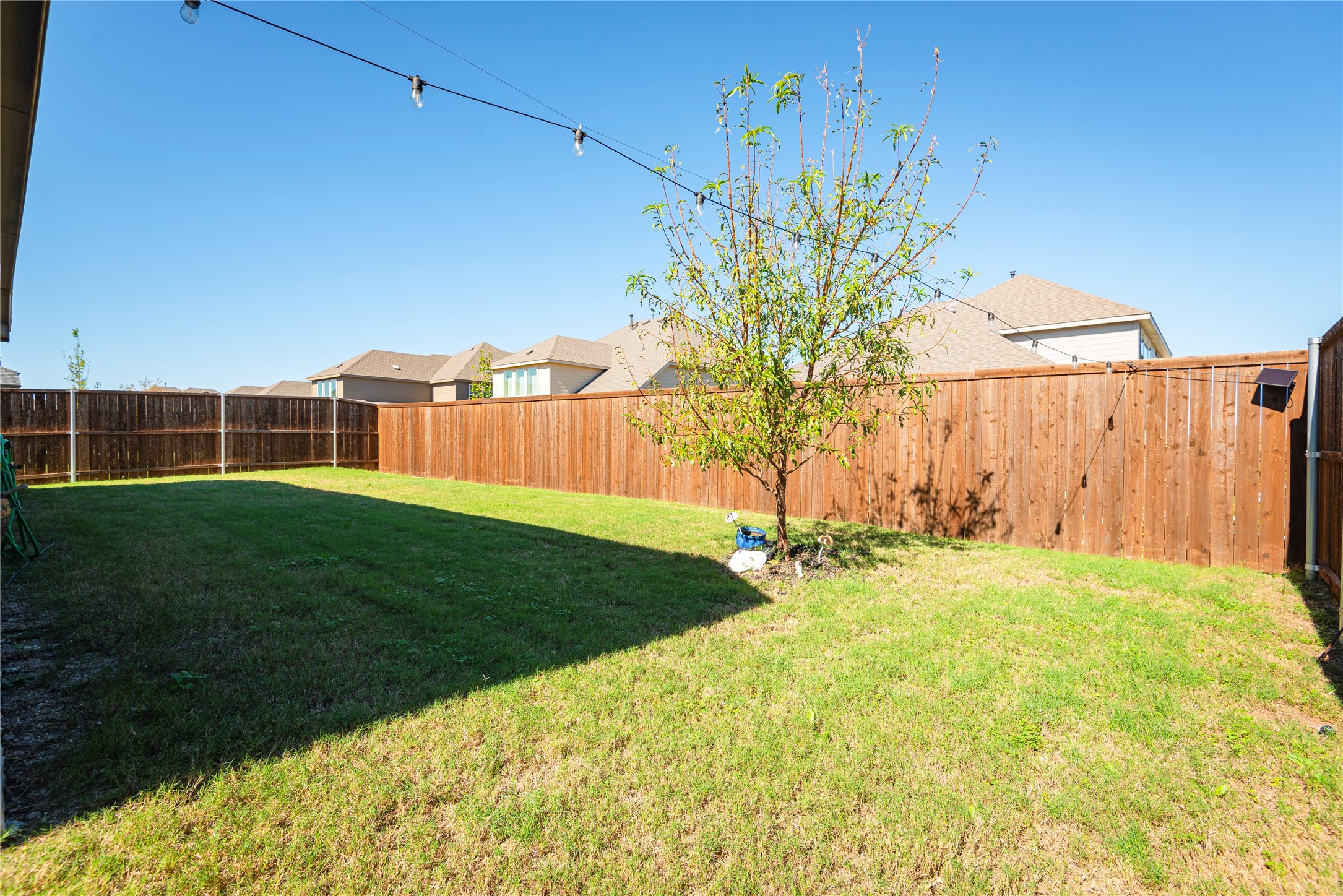 1229 Sunbeam Cove Anna TX 75409