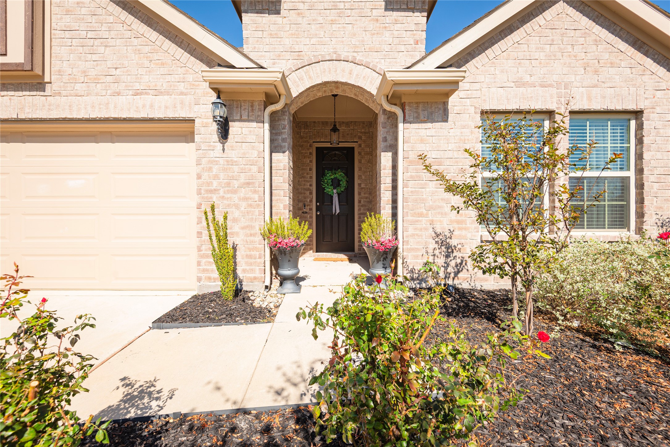 1229 Sunbeam Cove Anna TX 75409