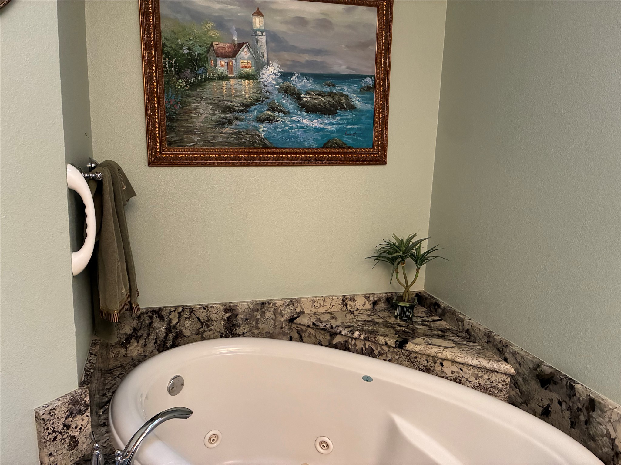 1408 Island Village Court Granbury TX 76048