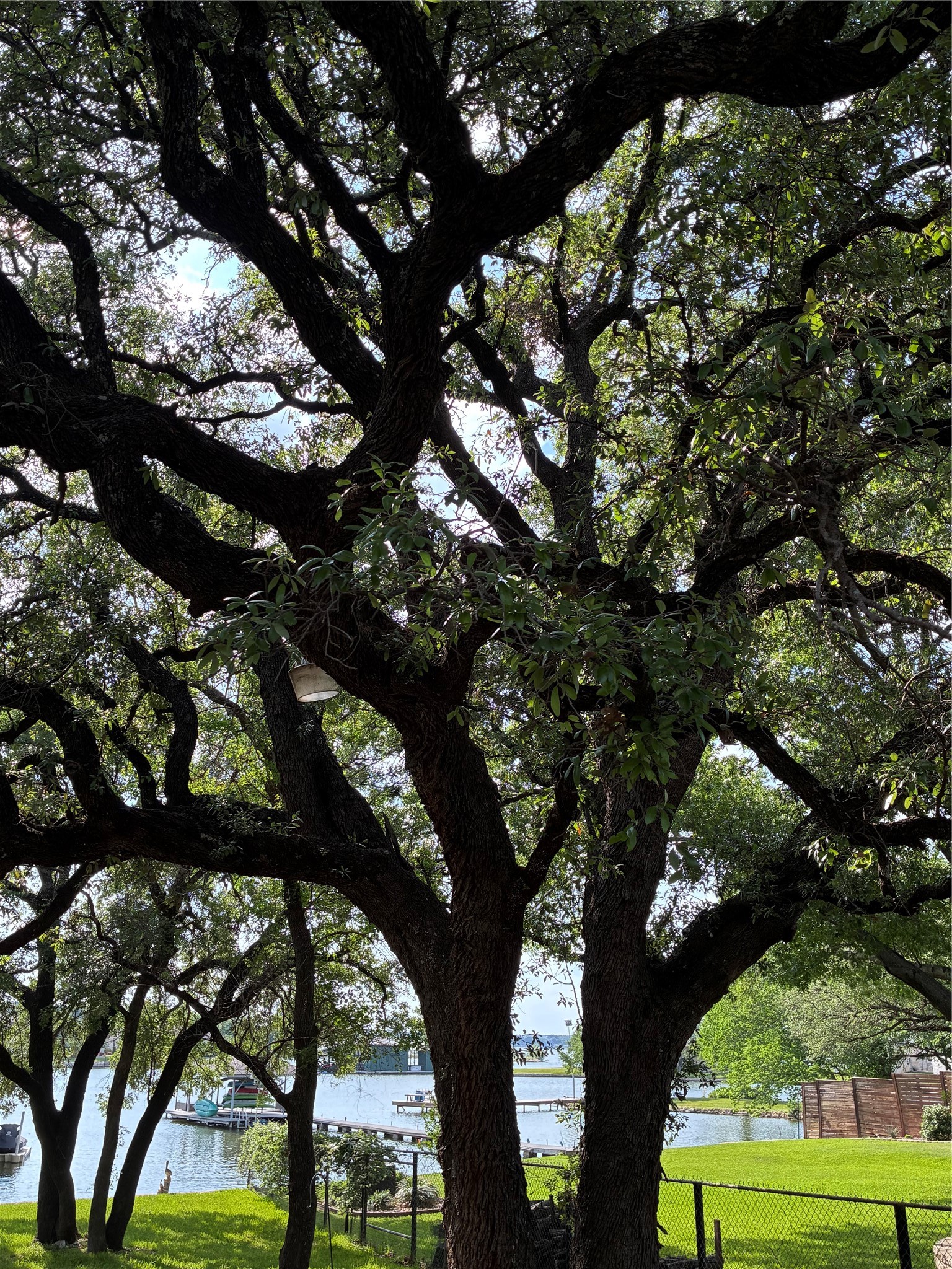 1408 Island Village Court Granbury TX 76048