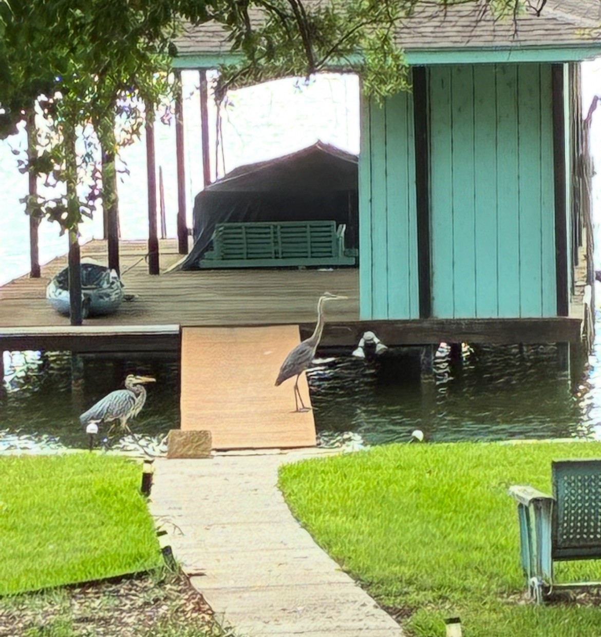 1408 Island Village Court Granbury TX 76048