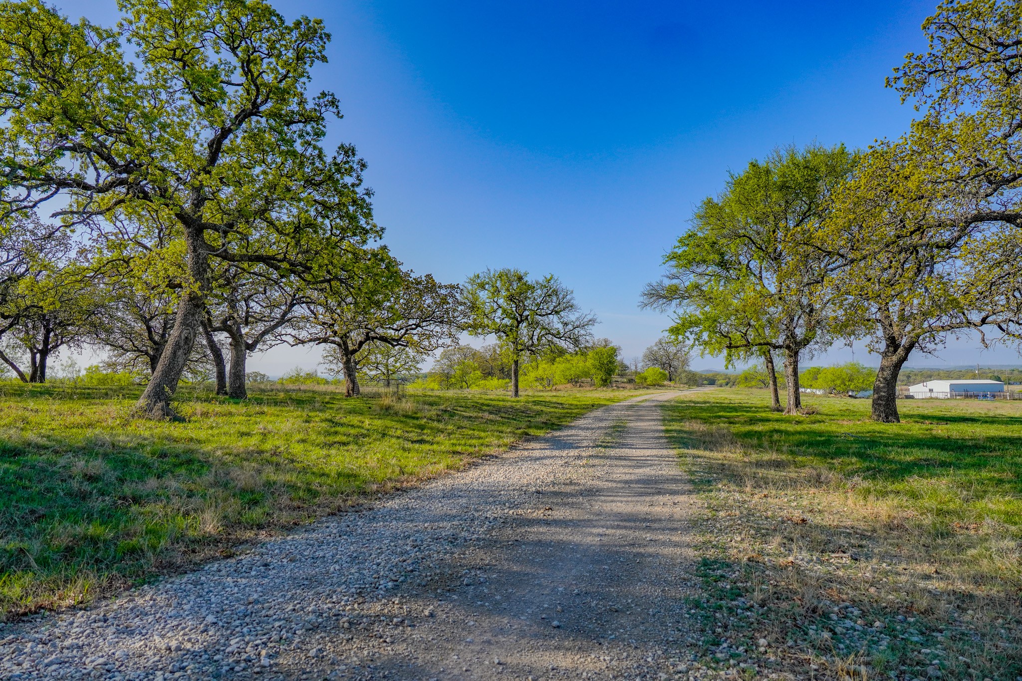 2688 Fm 2190 Jacksboro TX 76458