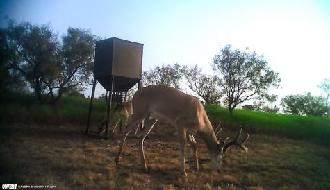 2267 County Road 414 Brady TX 76825