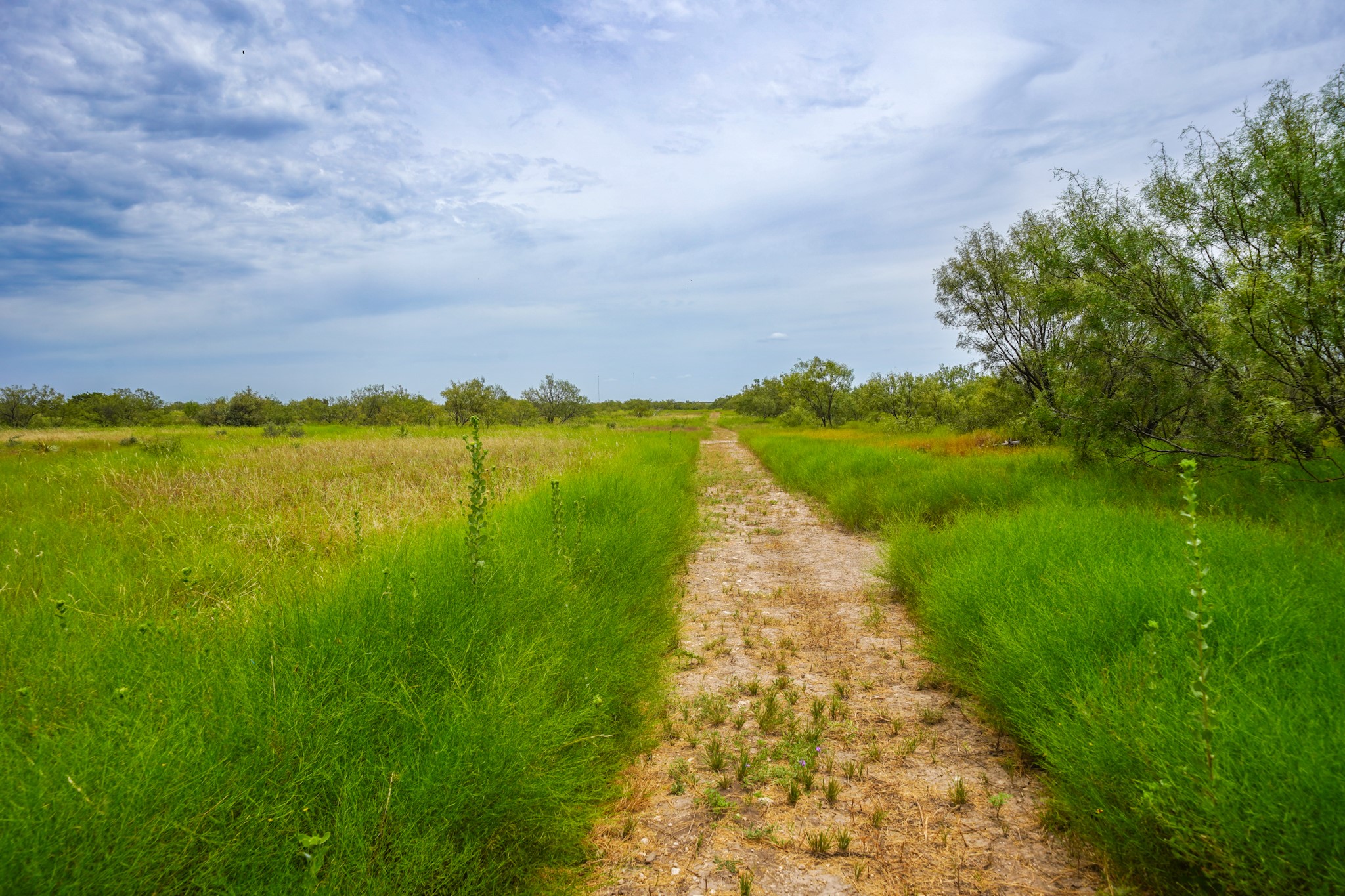 2267 County Road 414 Brady TX 76825