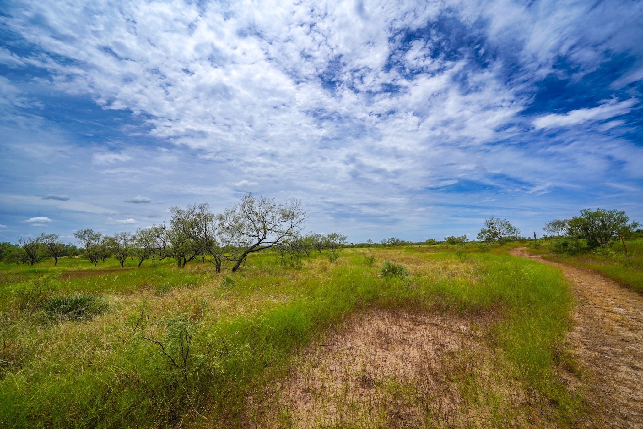 2267 County Road 414 Brady TX 76825