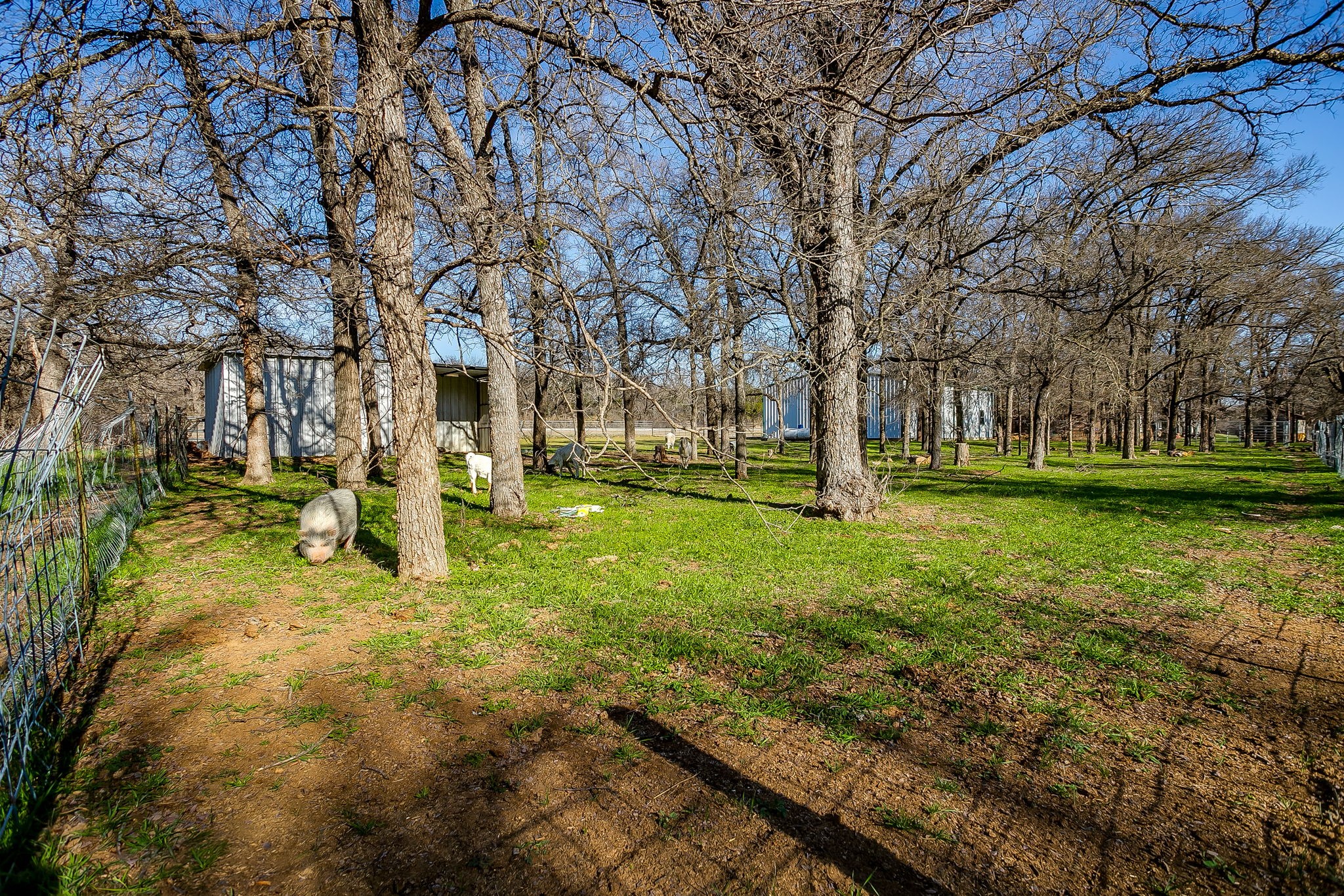 4763 Blue Flat Road Gordon TX 76453