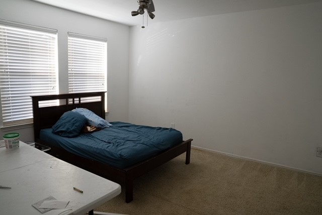 302 Azalea Drive Fate TX 75087