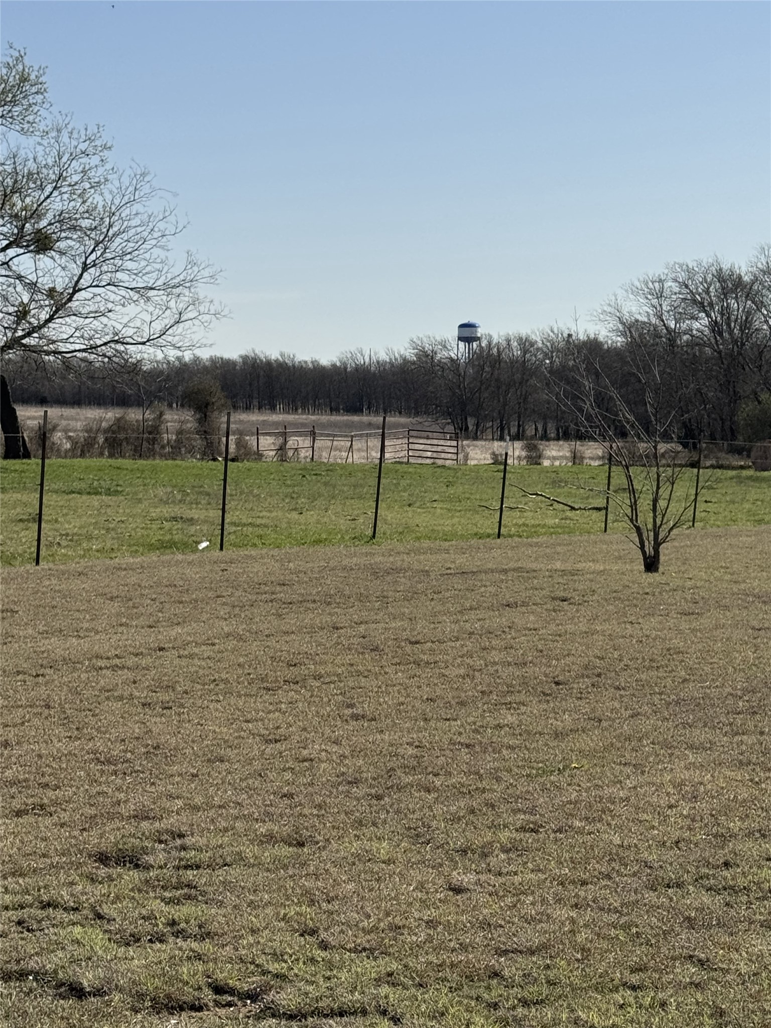 655 Loftice Road Gunter TX 75058