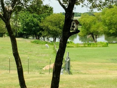 2291 Black Champ Road Waxahachie TX 75167