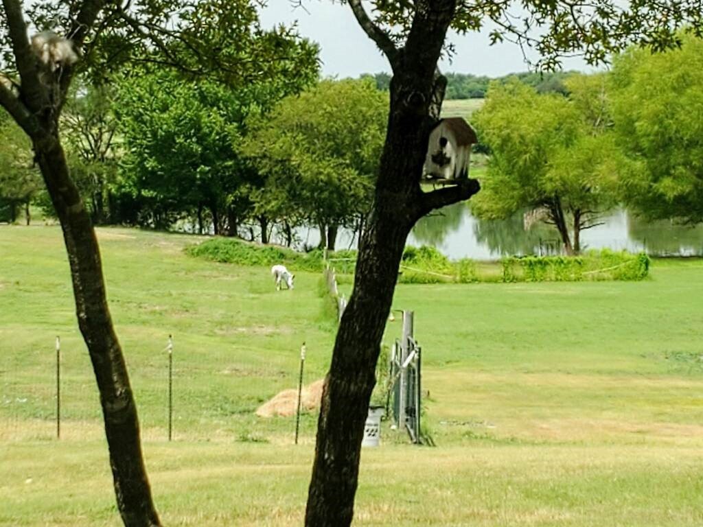 2291 Black Champ Road Waxahachie TX 75167