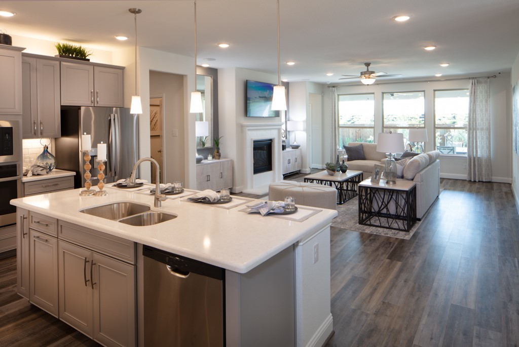 1724 Elderberry Lane Celina TX 75009