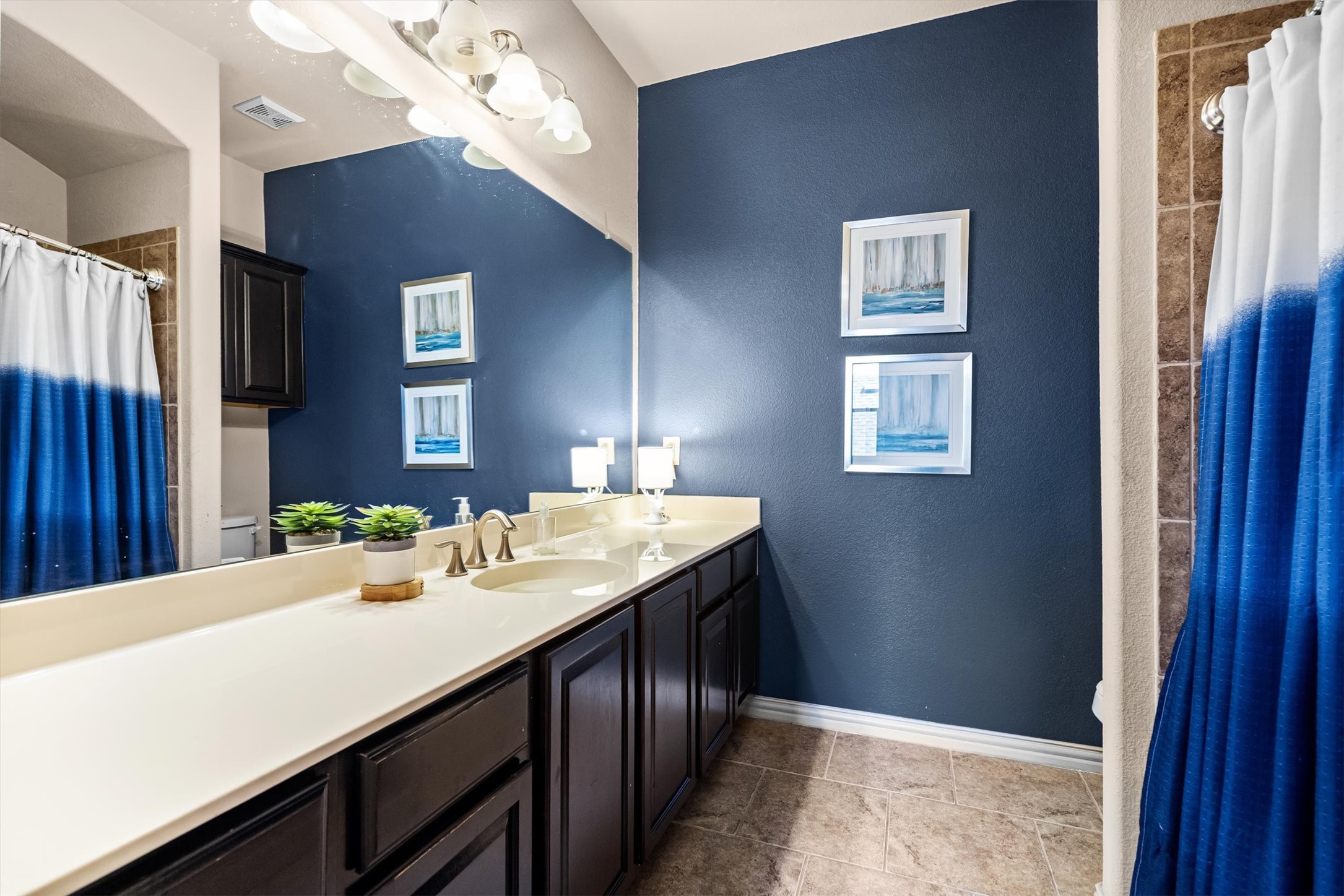 2459 Embleton Drive Lewisville TX 75067
