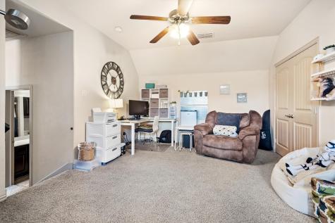 2459 Embleton Drive Lewisville TX 75067