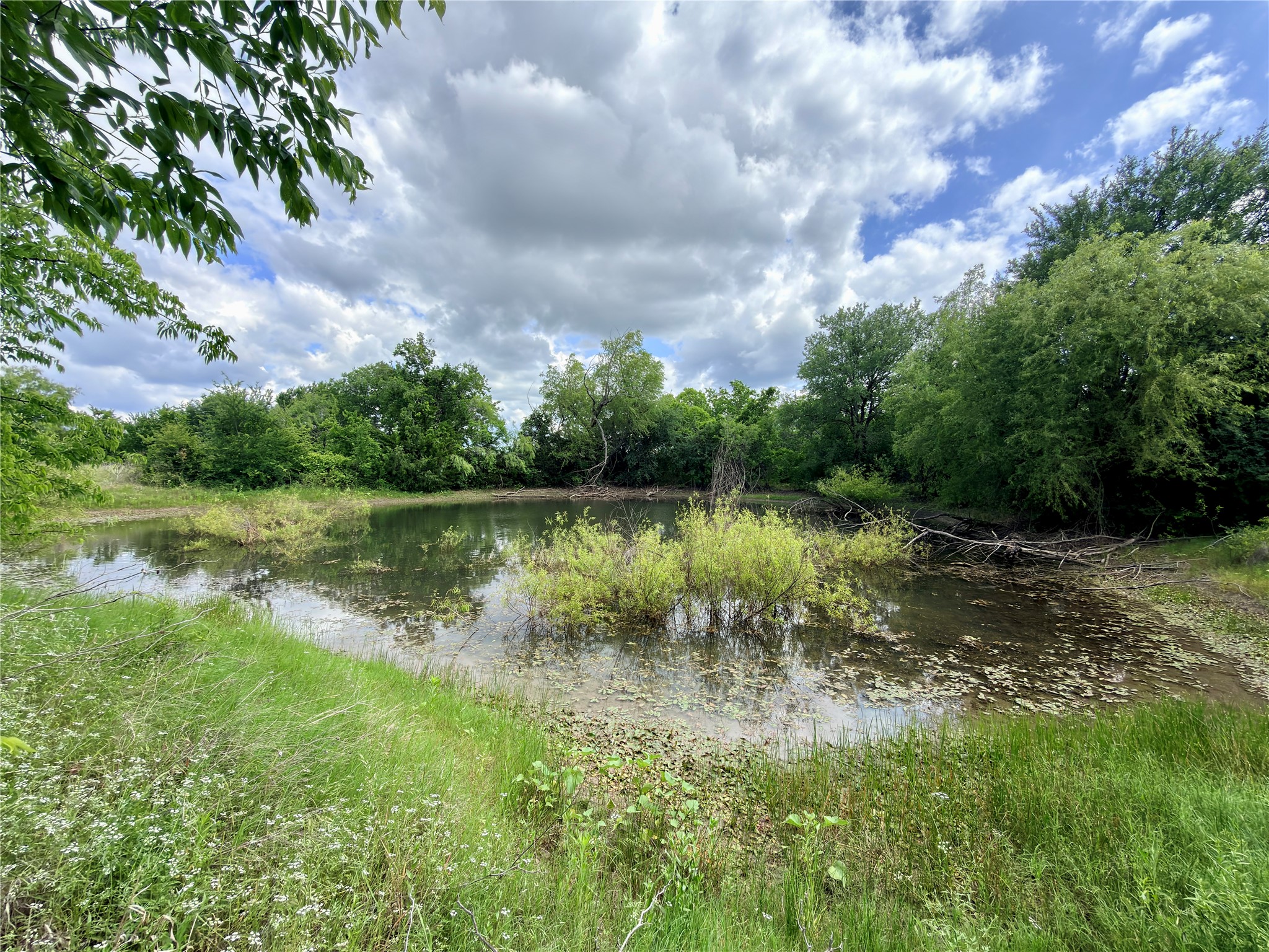 9326 NW County Road 1343 Blooming Grove TX 76626