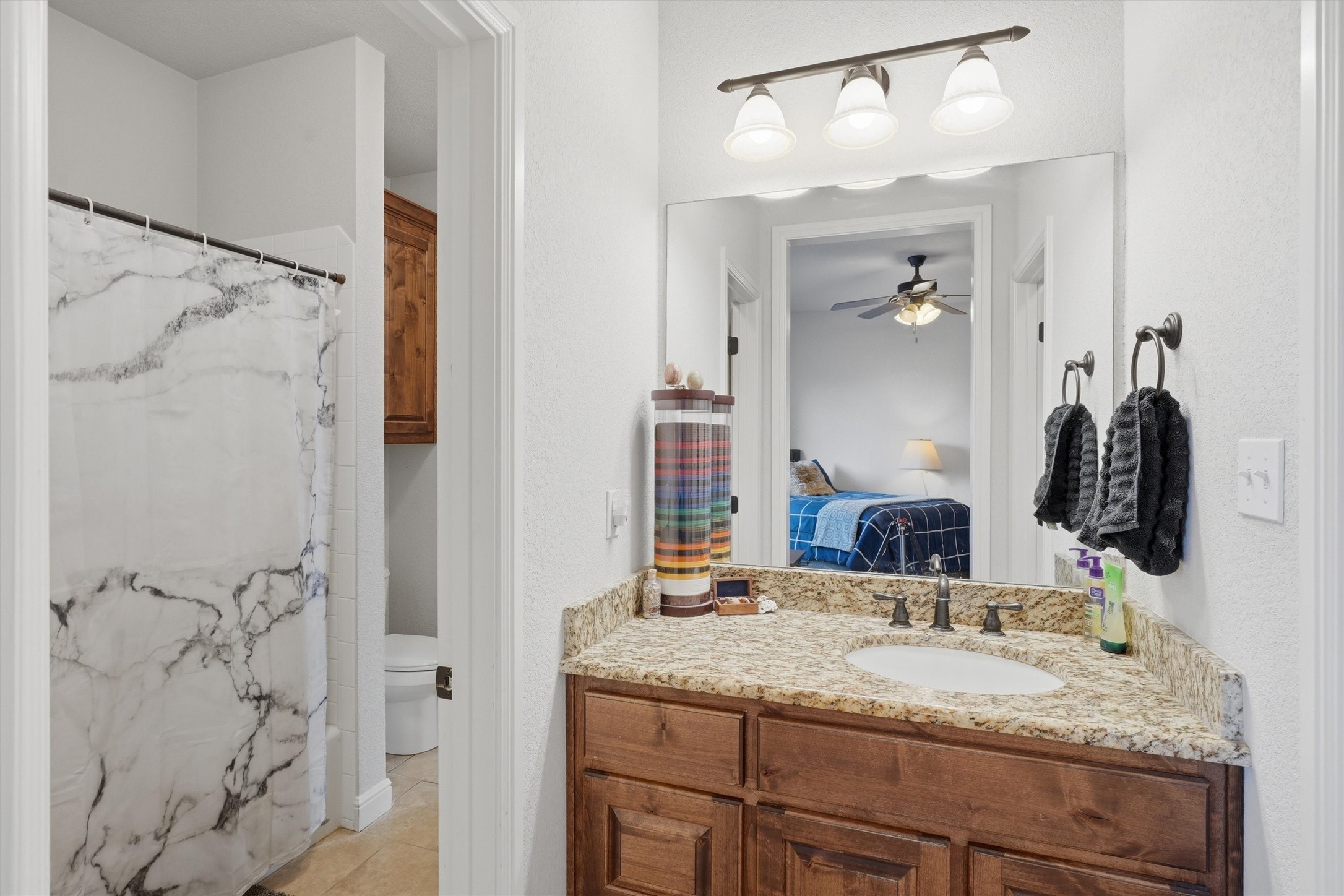 161 Creek Wood Drive Aledo TX 76008