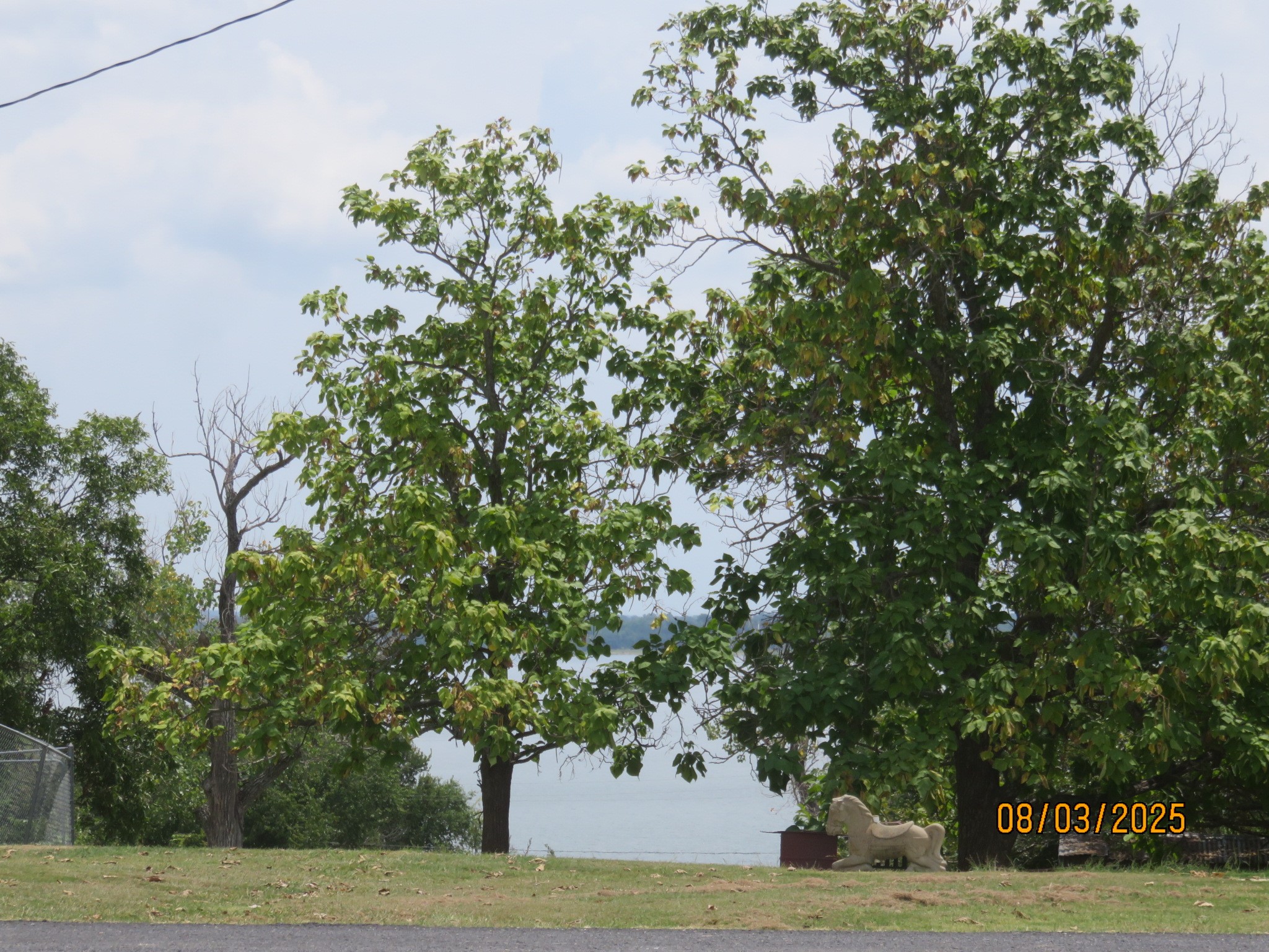10689 County Road 905 Princeton TX 75407