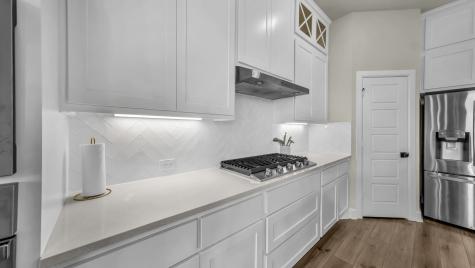 1617 Purple Thistle Lane Fort Worth TX 76008
