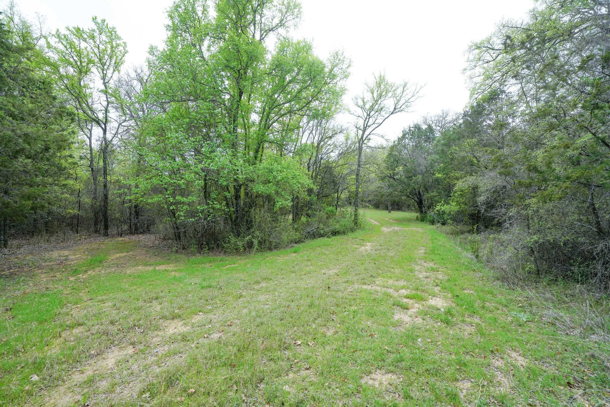 1111 Brazos Drive Mineral Wells TX 76067