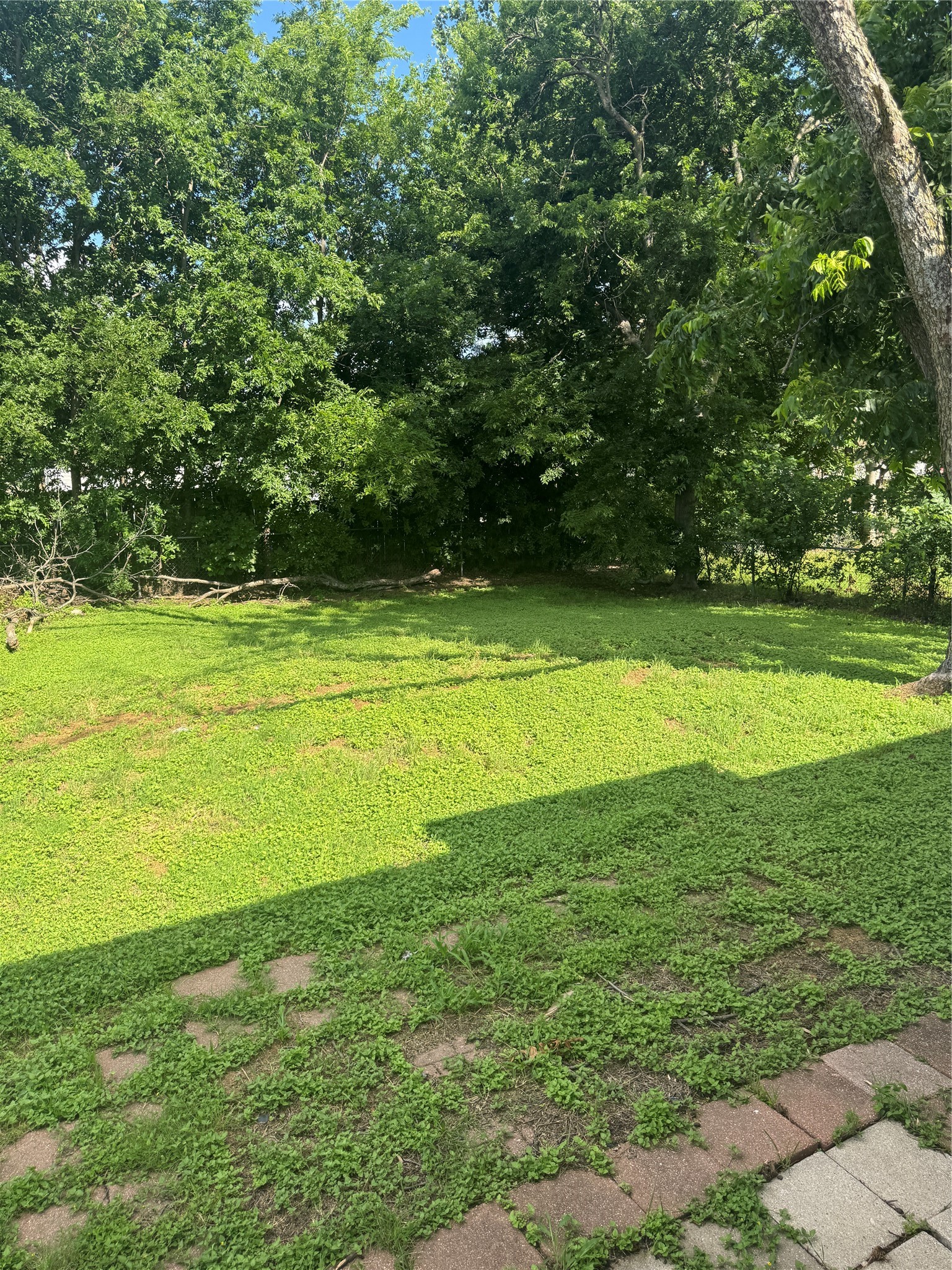 4414 Roberts Street Greenville TX 75401