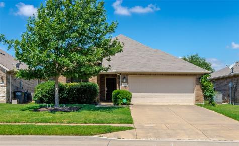 2758 Waterfall Lane Little Elm TX 75068