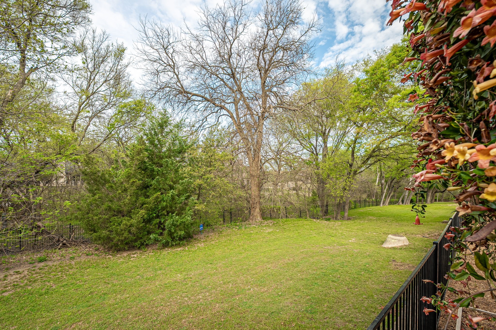 414 Treeline Drive Mckinney TX 75072