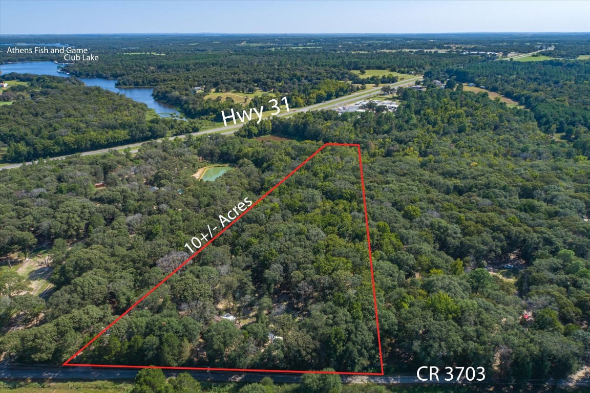 4230 County Road 3703 Athens TX 75752