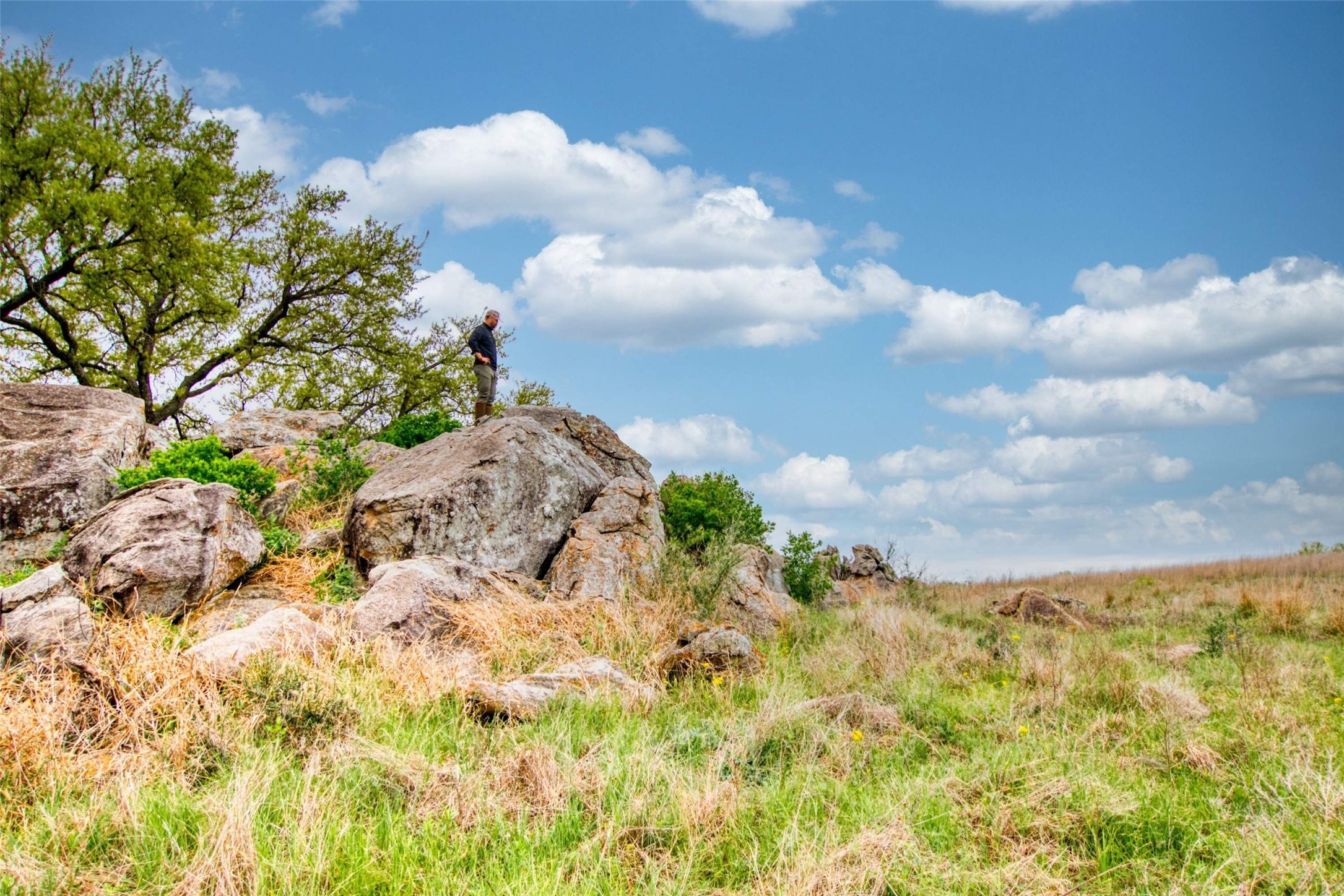247 Cow Trail Road Mason TX 76856