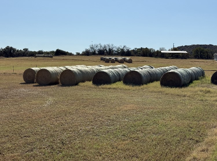 2026 Cr 103 County Road 103 Comanche TX 76442