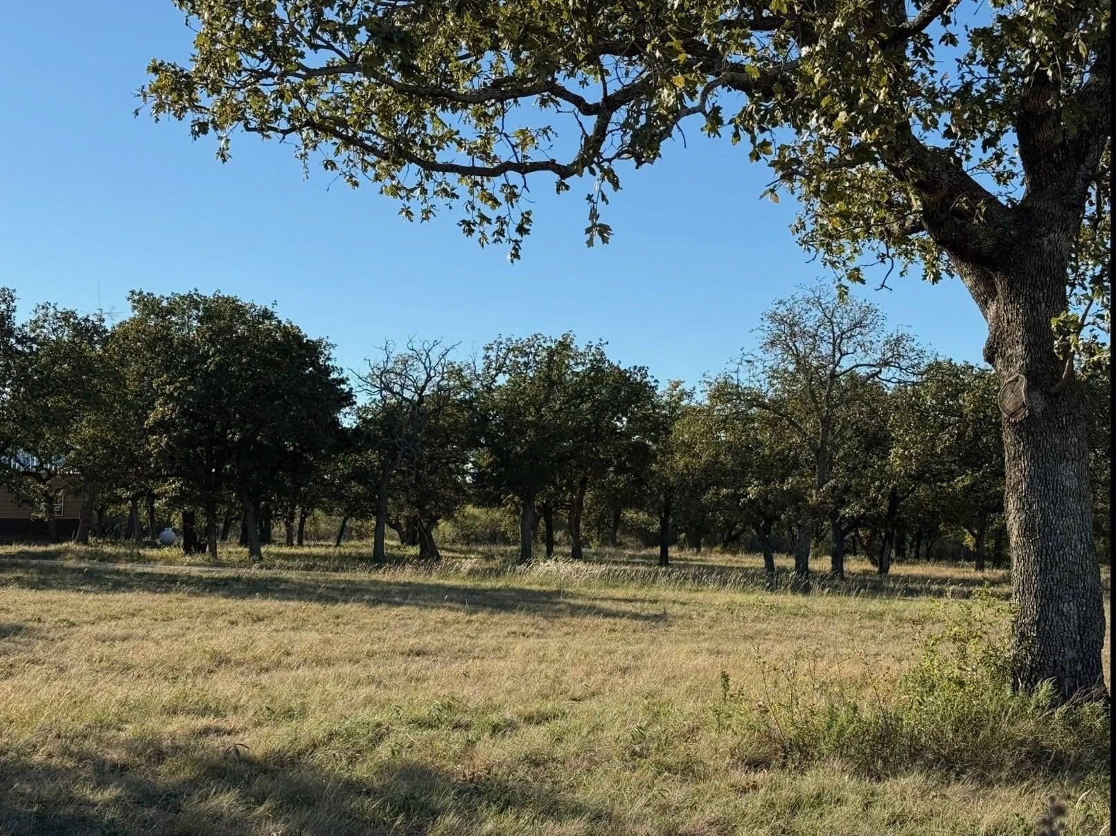 2026 Cr 103 County Road 103 Comanche TX 76442