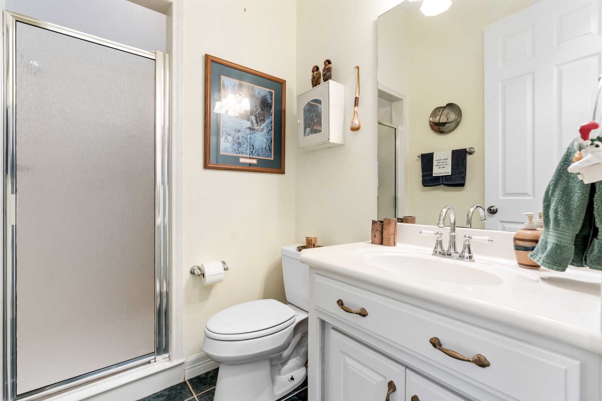 1264 Overlook Drive Whitney TX 76692