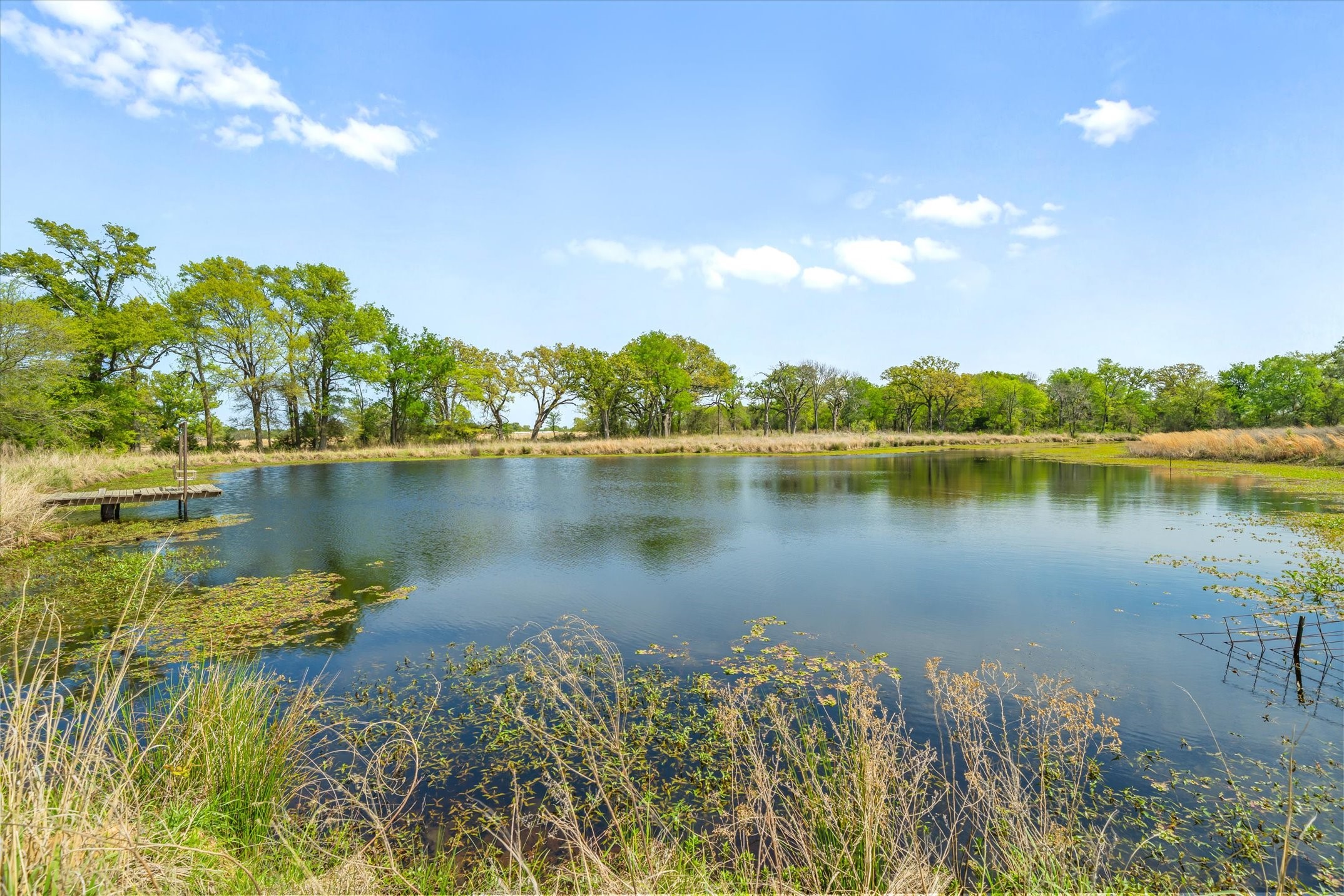 800 Vz County Road 2112 Canton TX 75103