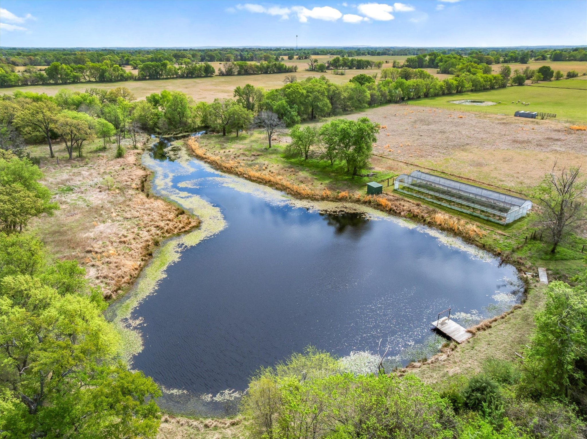 800 Vz County Road 2112 Canton TX 75103