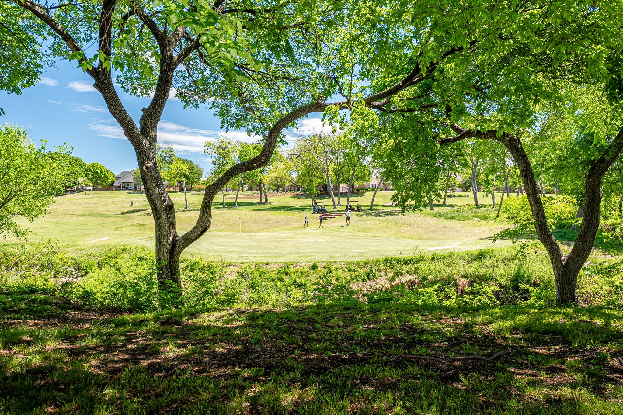 1709 Singletree Court Mckinney TX 75072