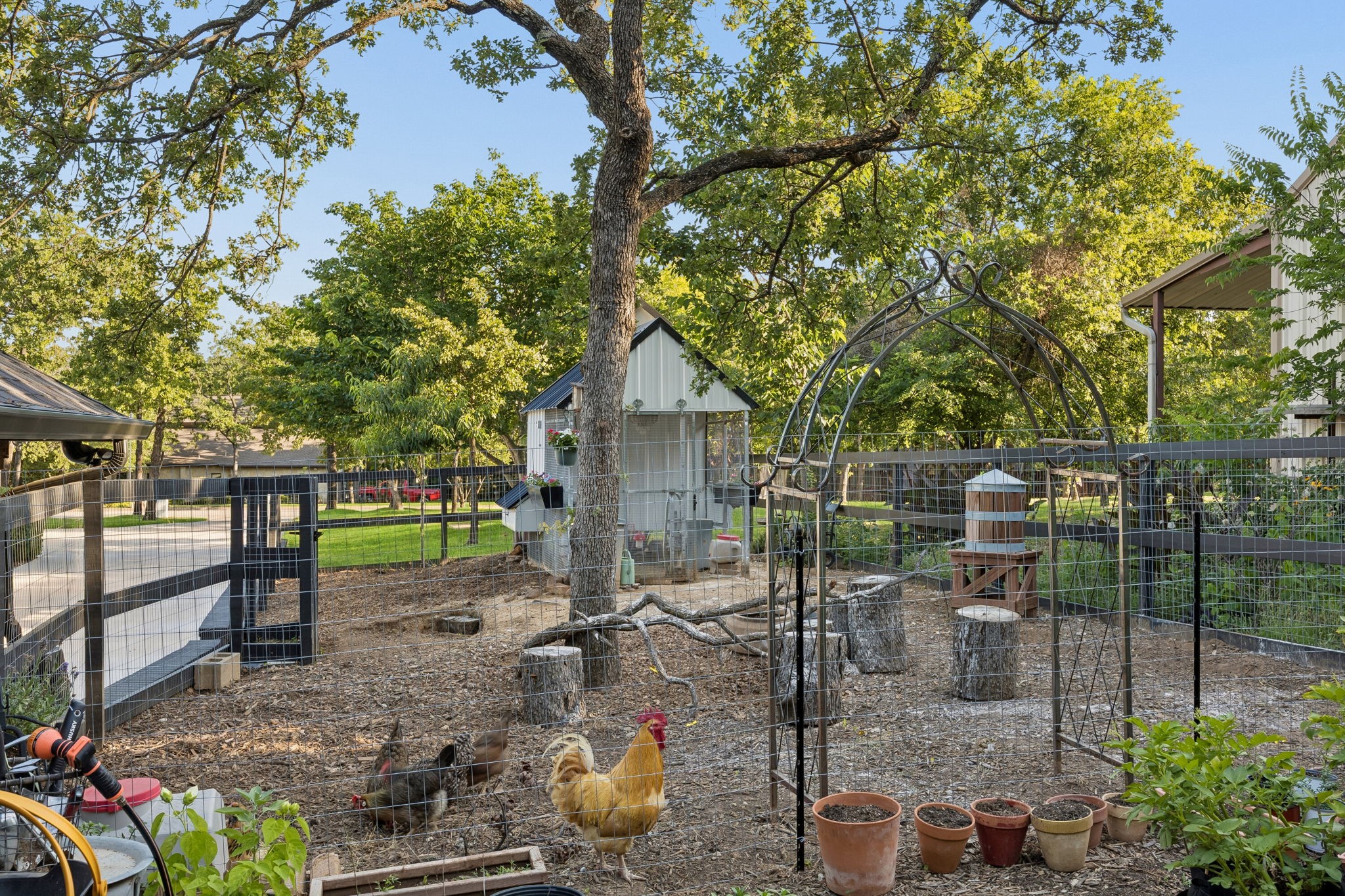 213 Shenandoah Court Argyle TX 76226