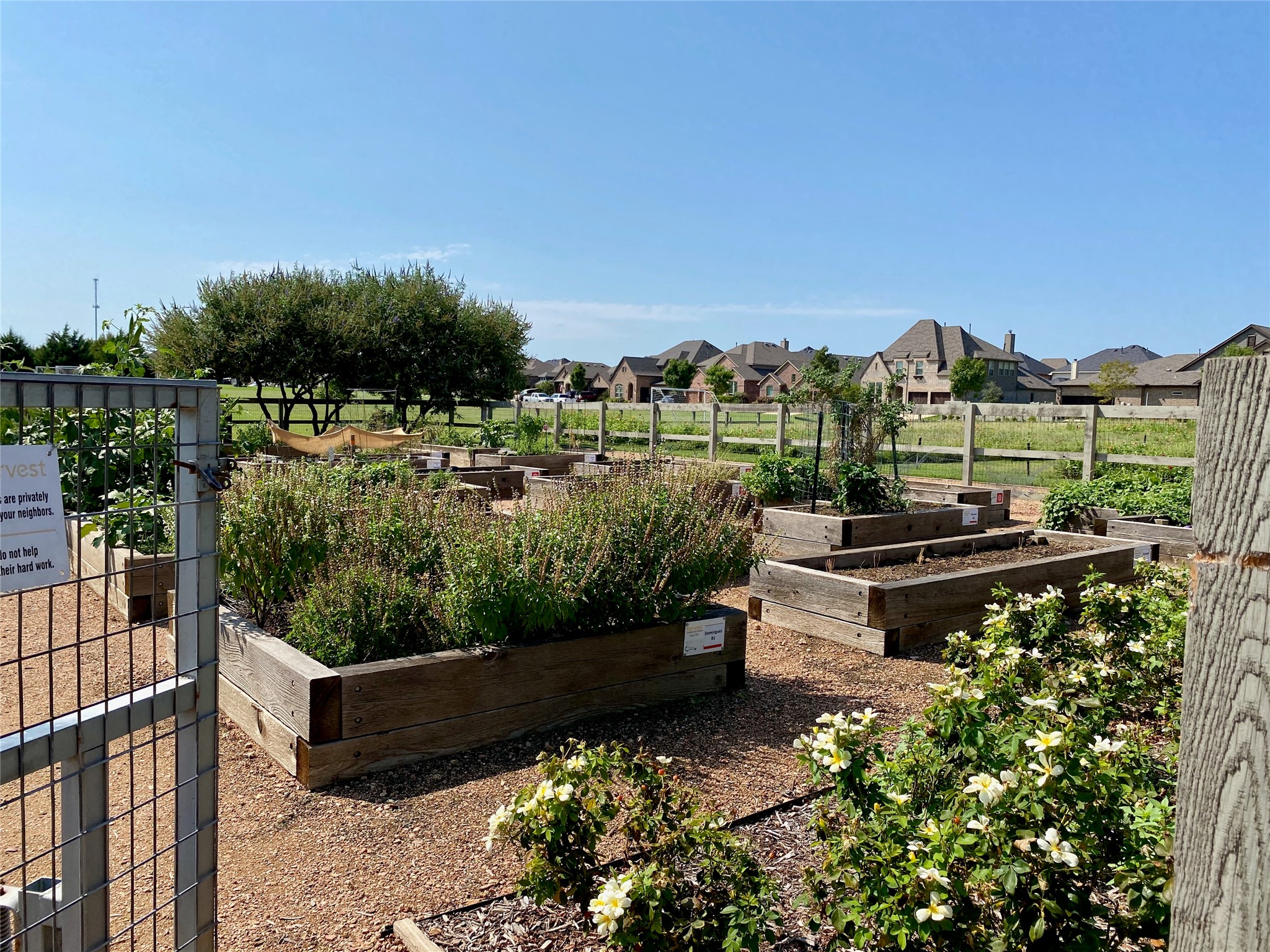 2404 Blackrail Court Argyle TX 76226