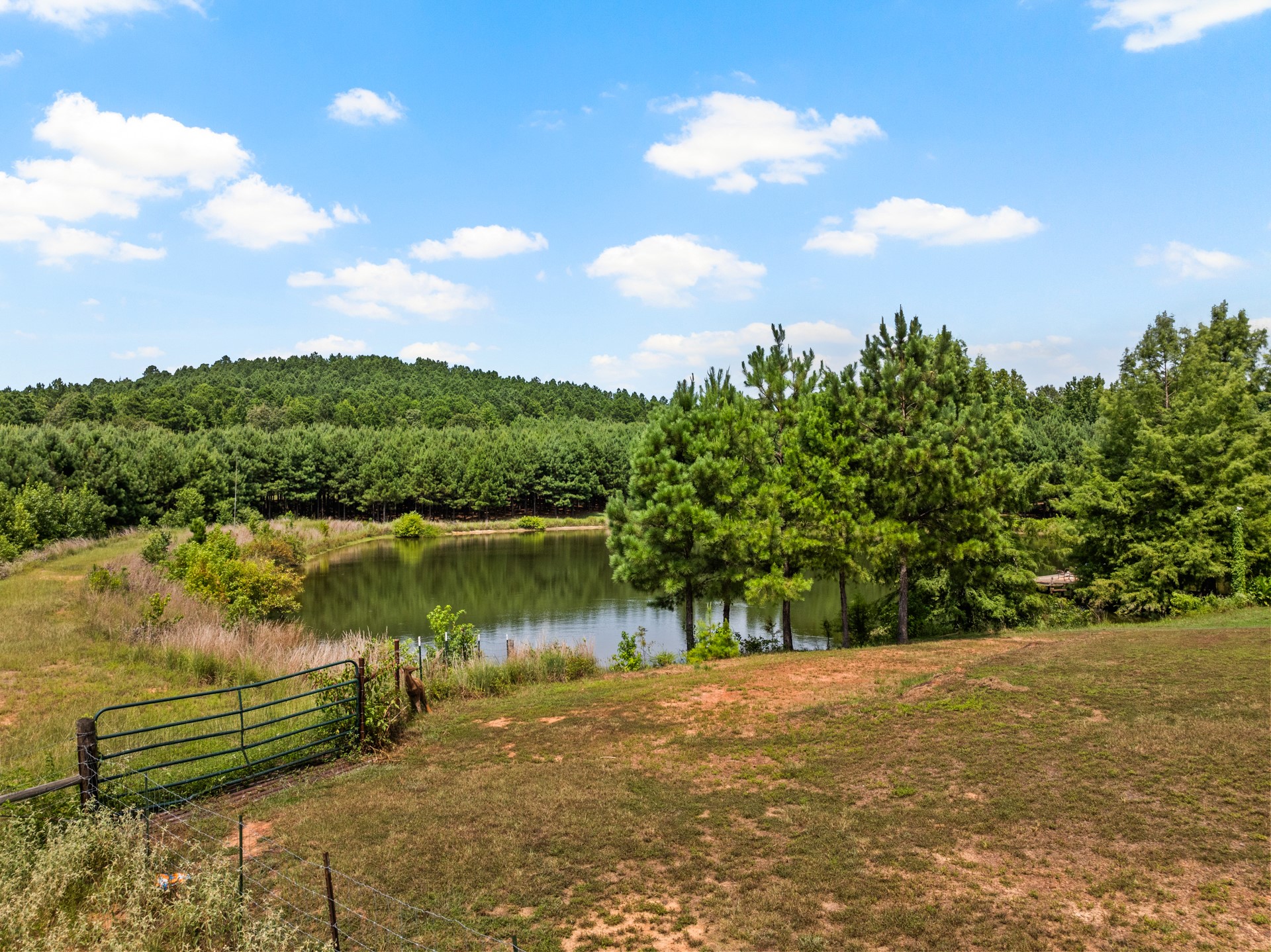 140 County Road 2242 Daingerfield TX 75638