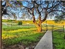 895 Pr 202 - 25ac Highway 281 Hamilton TX 76531