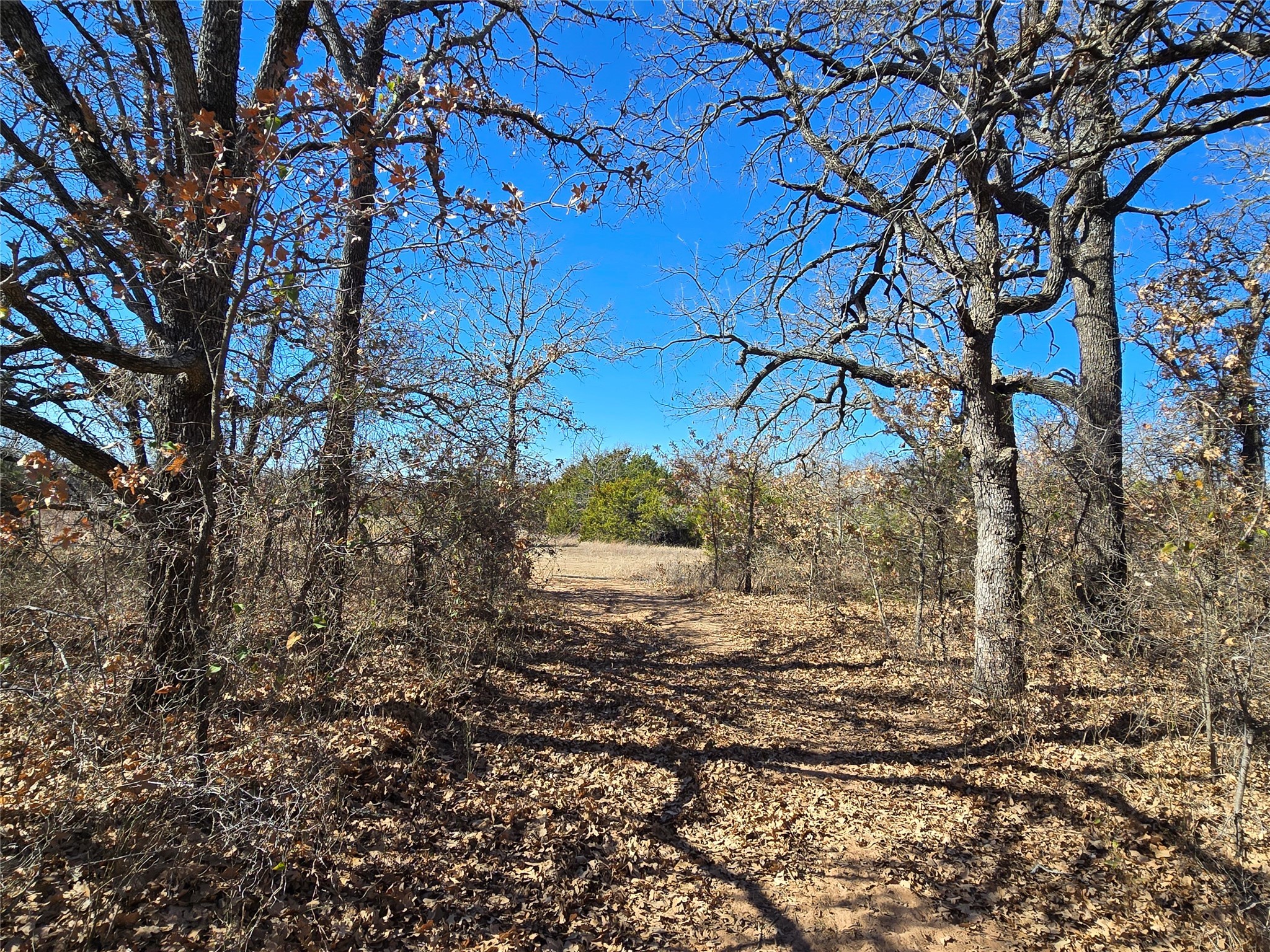 721 Co Road 335 Ranger TX 76470