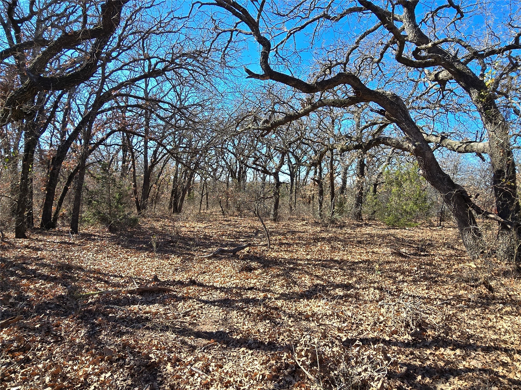 721 Co Road 335 Ranger TX 76470
