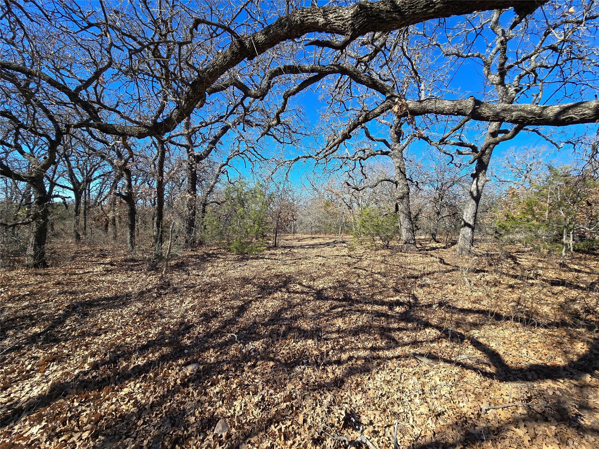 721 Co Road 335 Ranger TX 76470