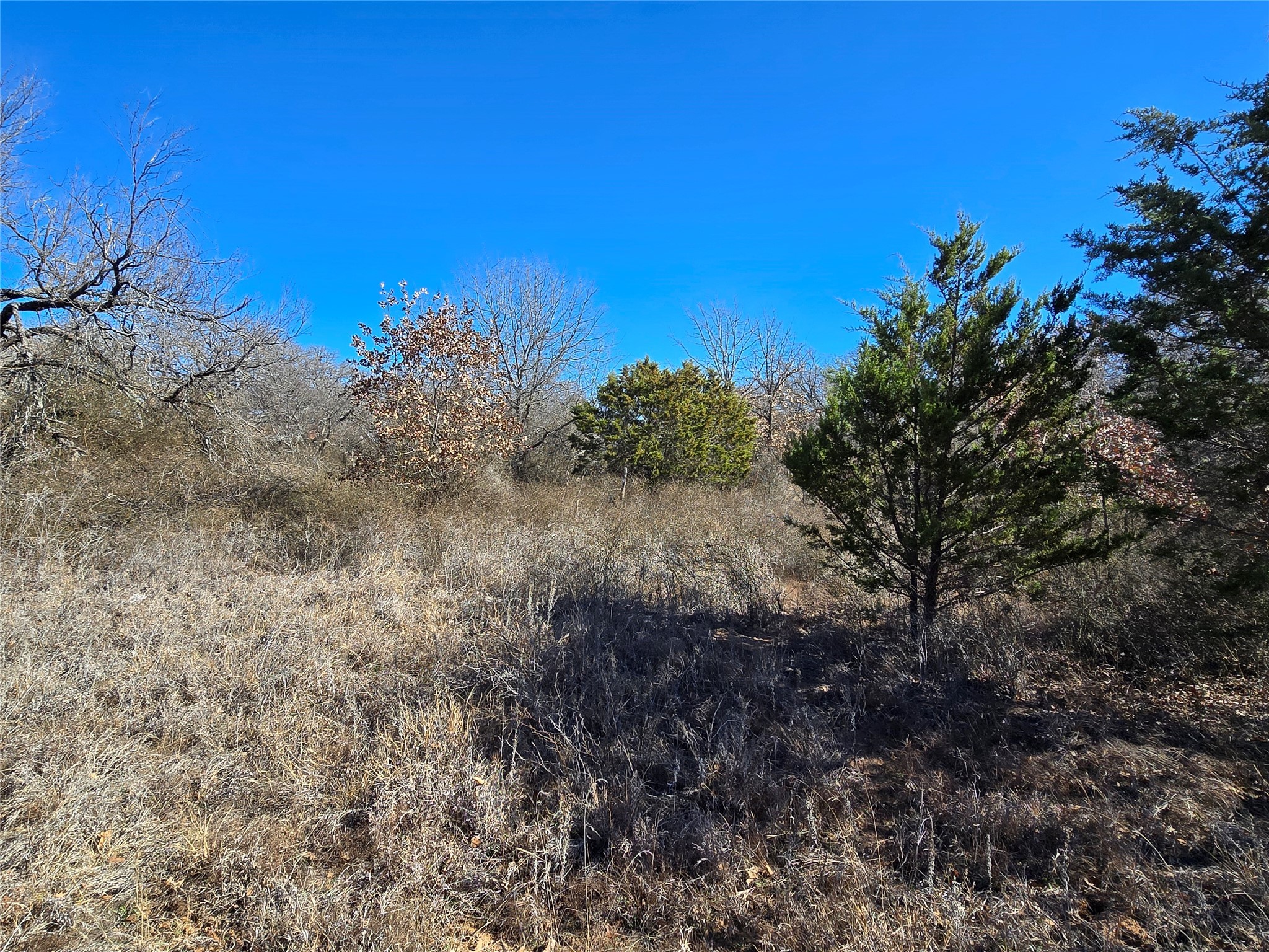 721 Co Road 335 Ranger TX 76470