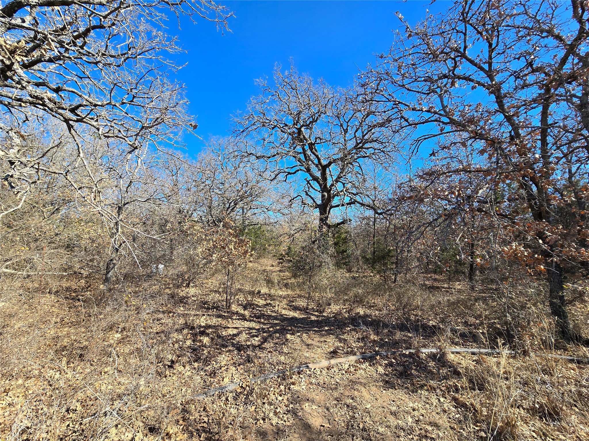 721 Co Road 335 Ranger TX 76470