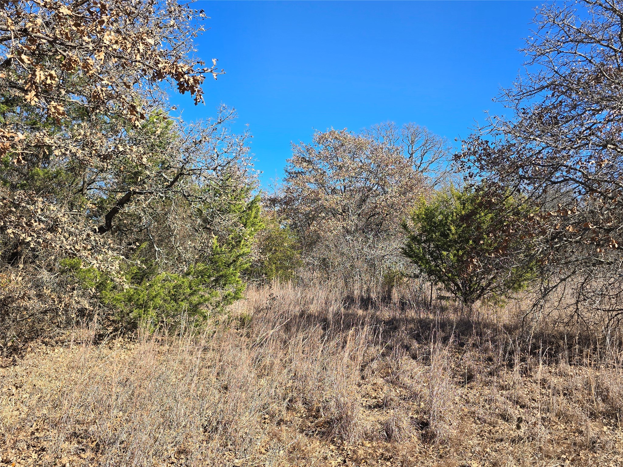721 Co Road 335 Ranger TX 76470
