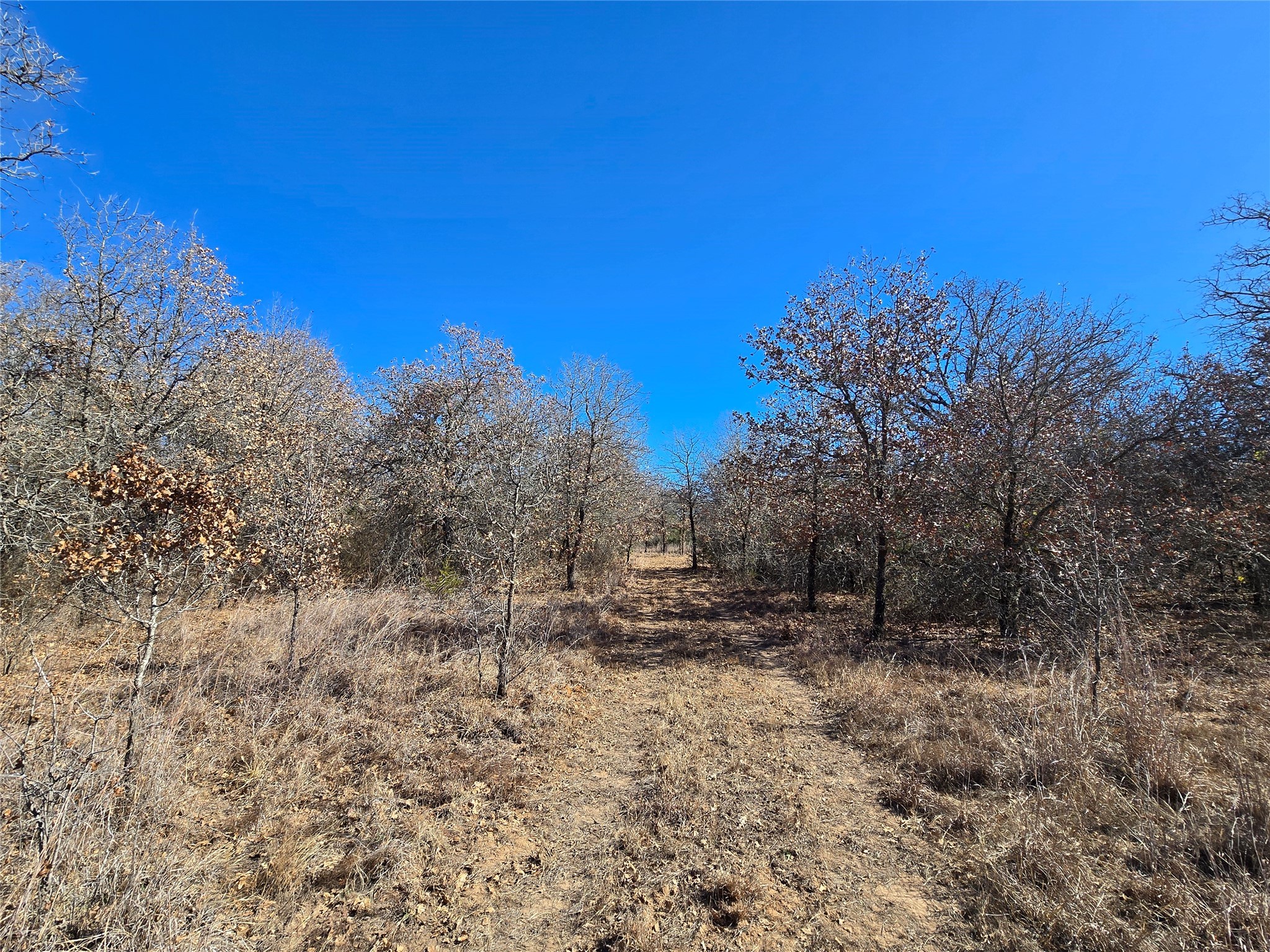 721 Co Road 335 Ranger TX 76470
