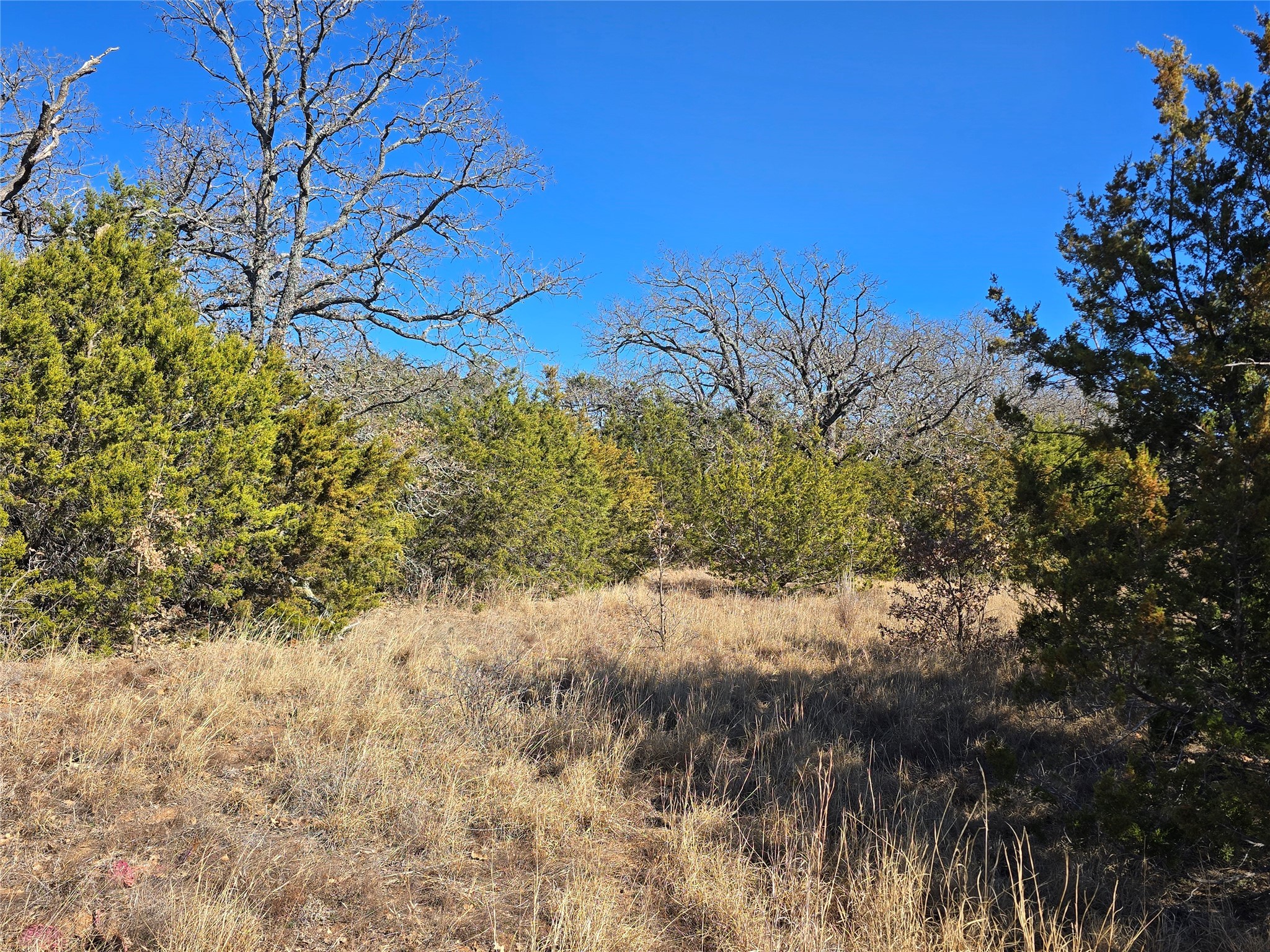 721 Co Road 335 Ranger TX 76470