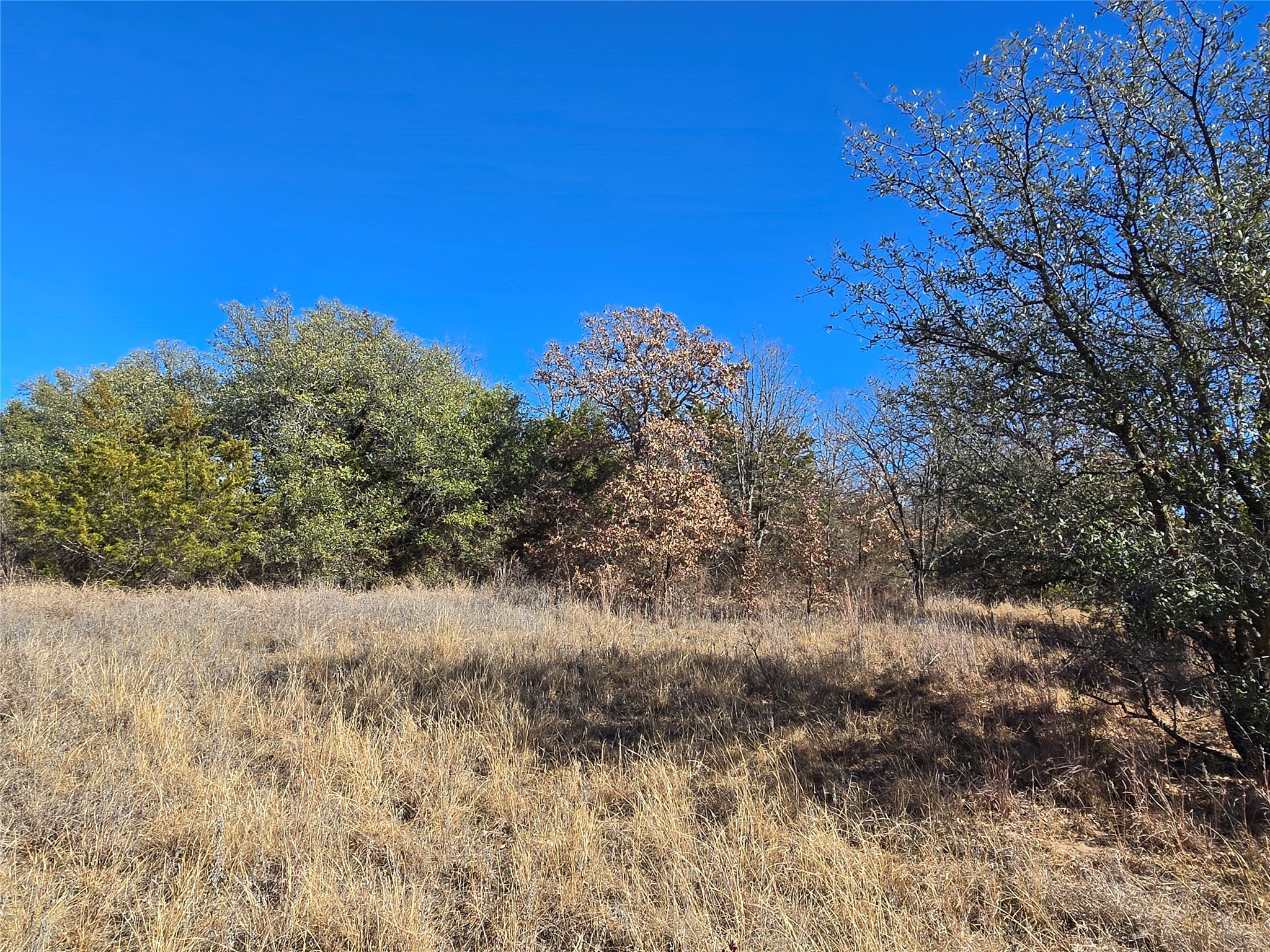 721 Co Road 335 Ranger TX 76470