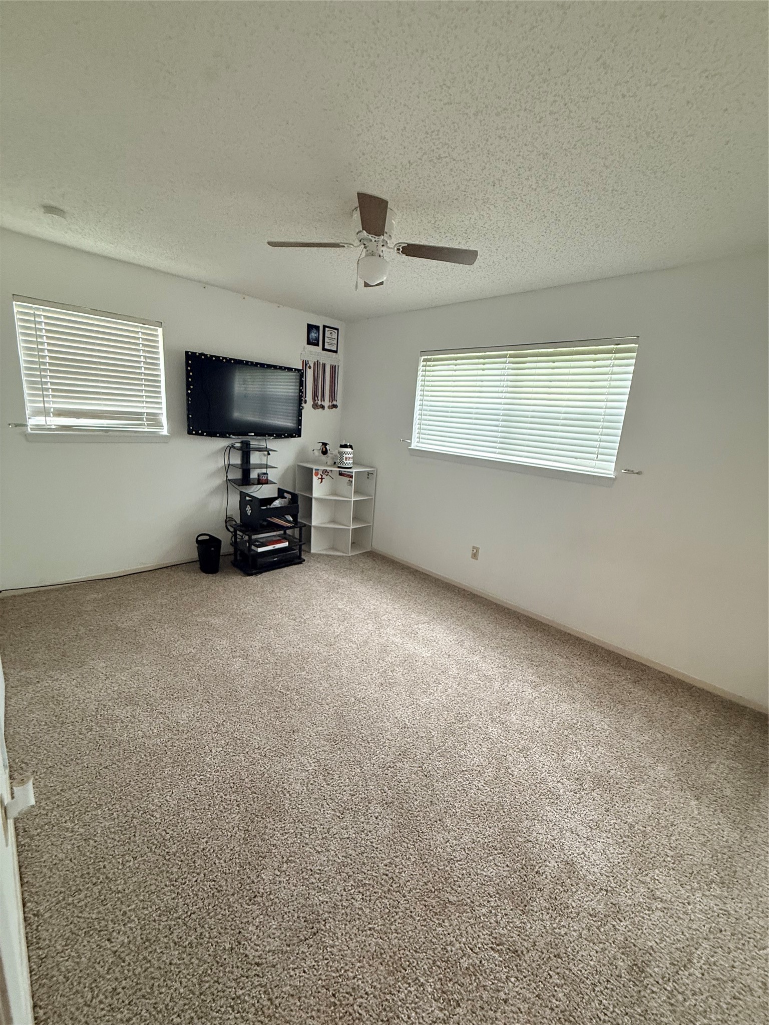 124 Juanita Avenue Wills Point TX 75169