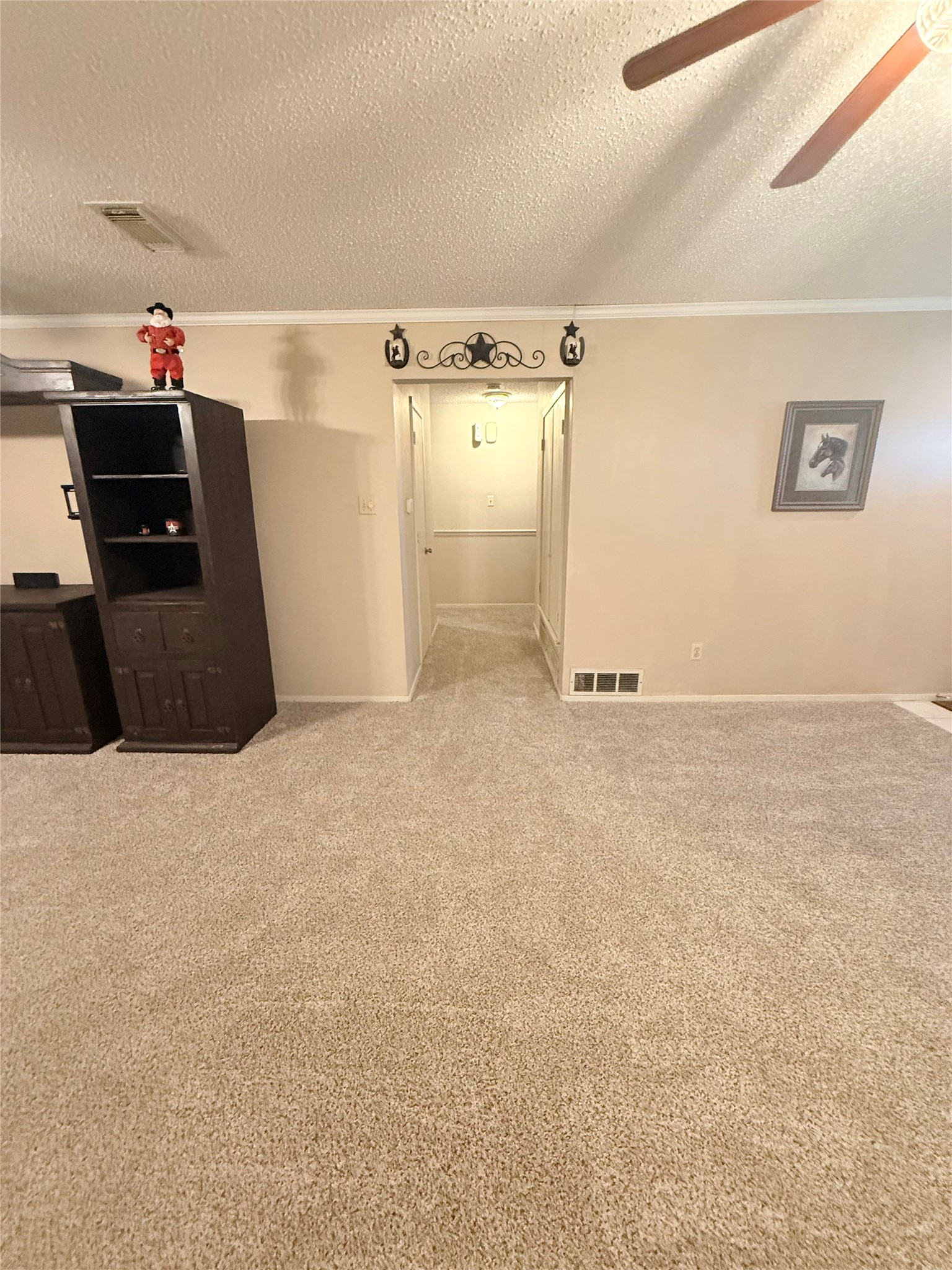 124 Juanita Avenue Wills Point TX 75169