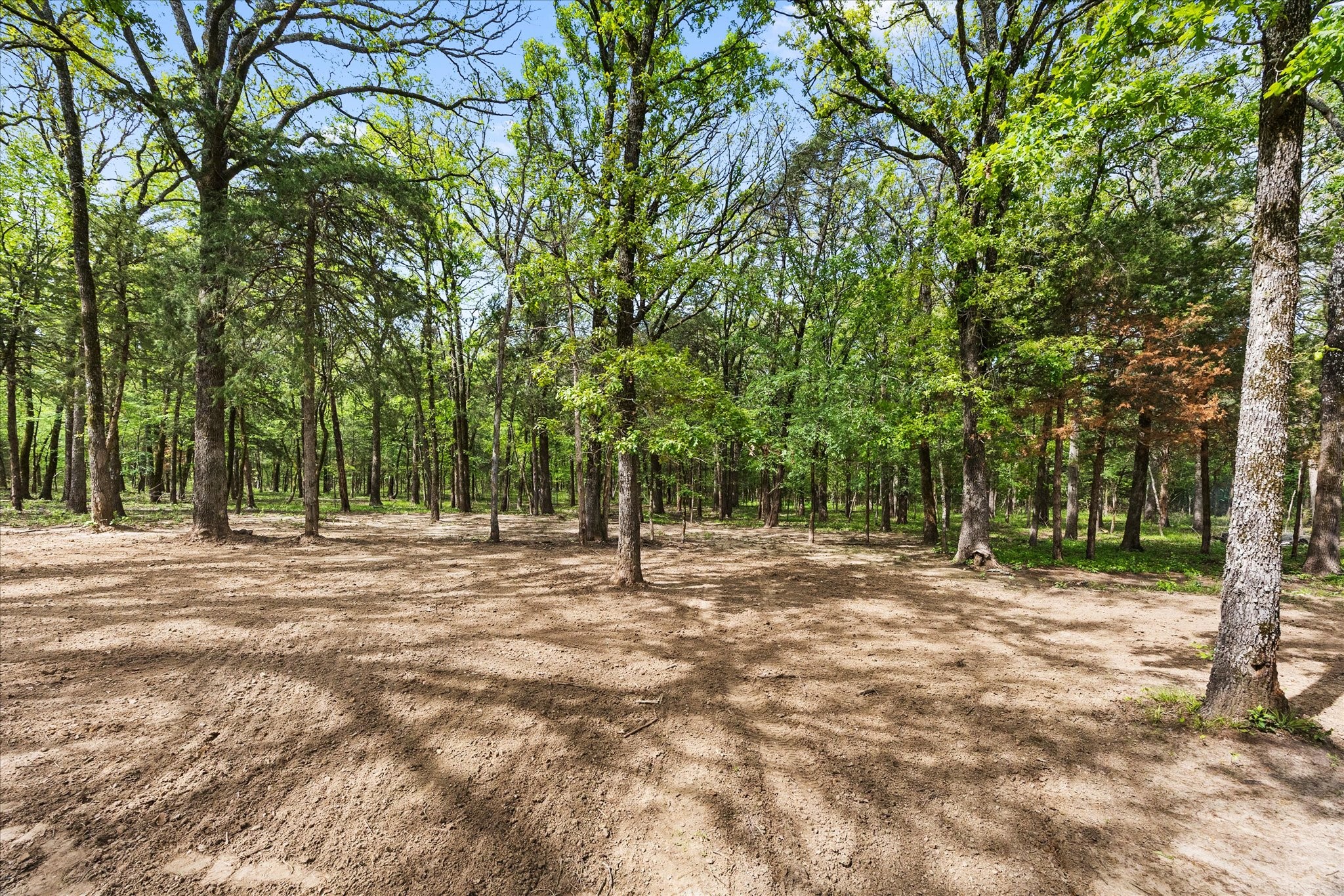 2117 Red Cedar Trail Greenville TX 75402