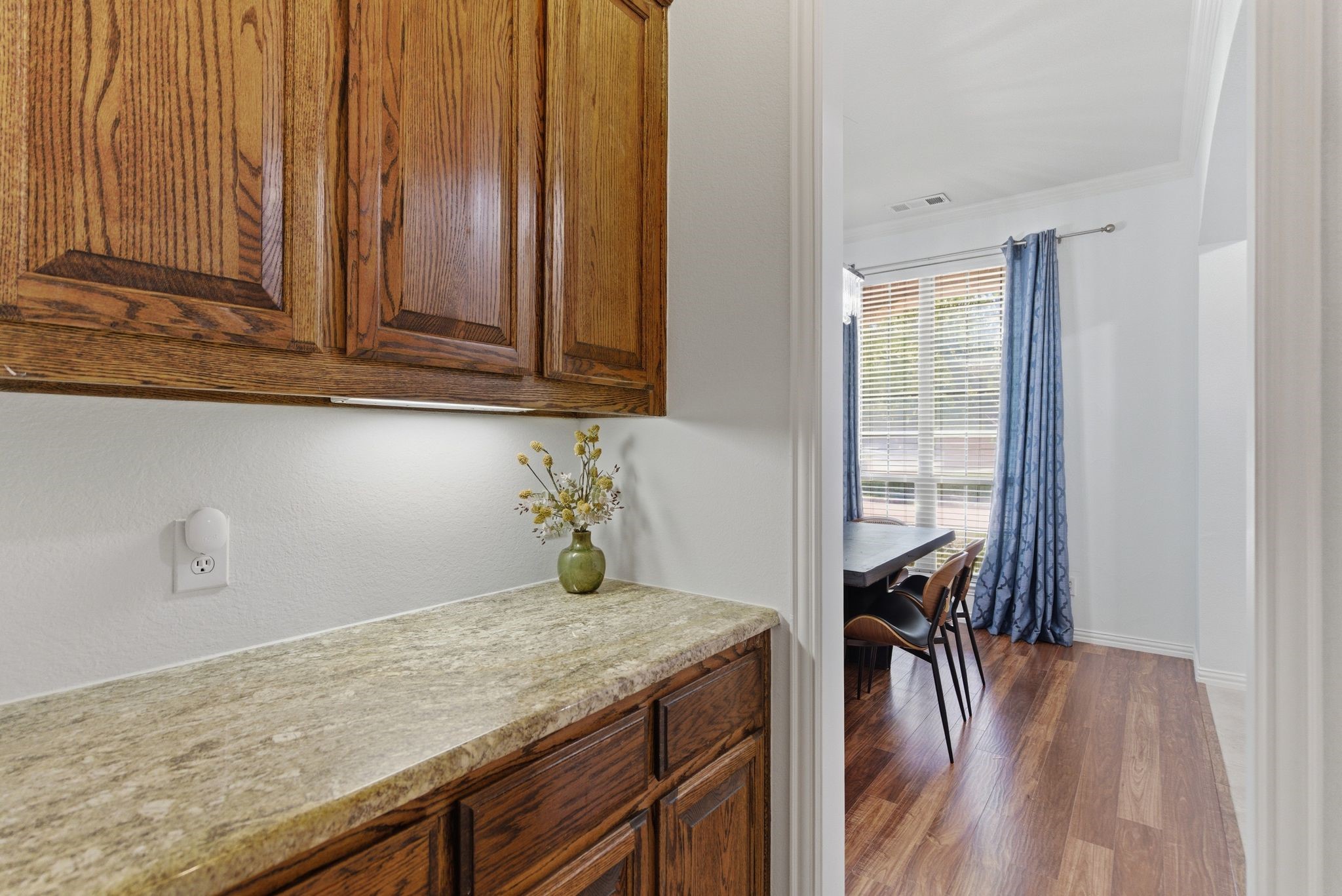 2437 Fawn Meadow Drive Little Elm TX 75068